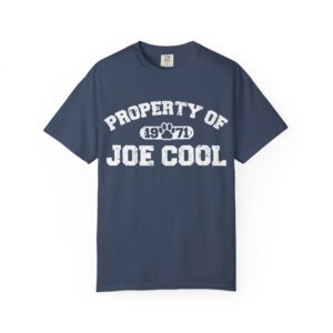 Vintage Joe Cool T-Shirt, Unisex Tee, Peanuts Fan Gift, College Shirt, Property of Joe Cool, Retro Graphic Tee